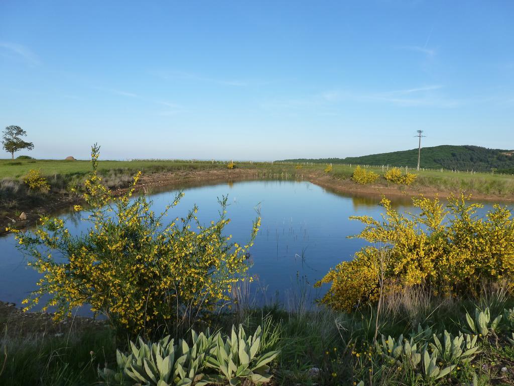Domaine Joseph Lafarge Wine Resort Oeno-Tonneaux Experience Lugny المظهر الخارجي الصورة